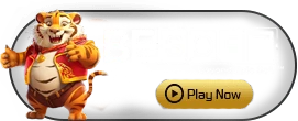 Besoft - GECKO158