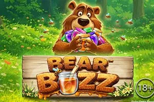 Bear Buzz - GECKO158
