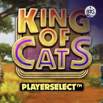 Bigtime : King of Cats - GECKO158