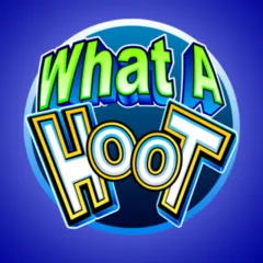 What A Hoot - GECKO158