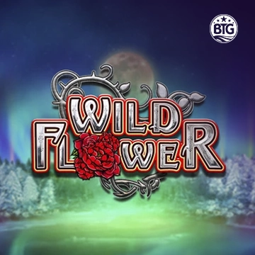 Bigtime : Wild Flower - GECKO158