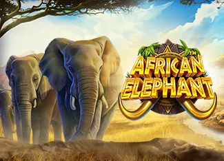 Pragmatic : African Elephant - GECKO158